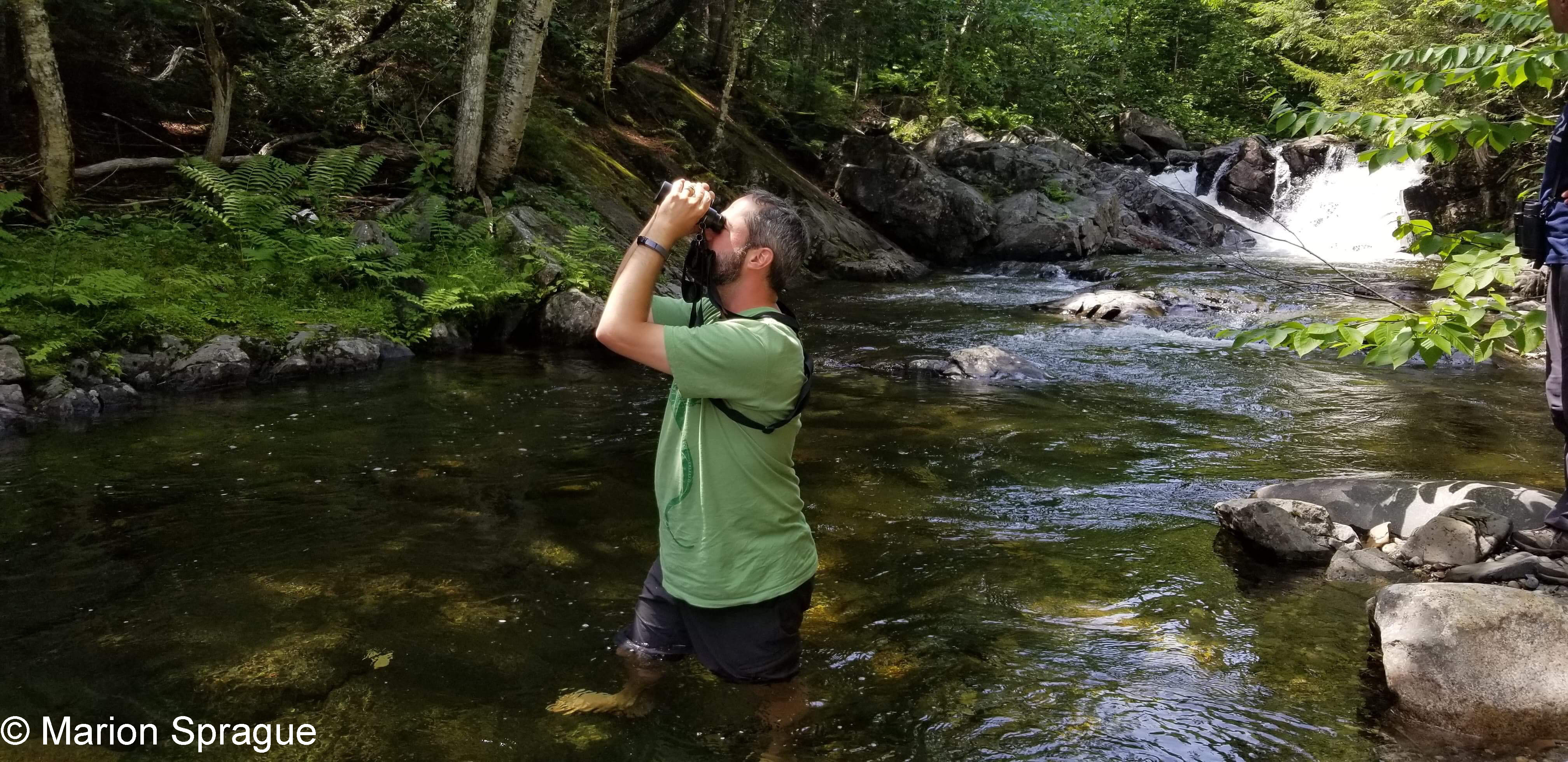 38. Me_in_stream