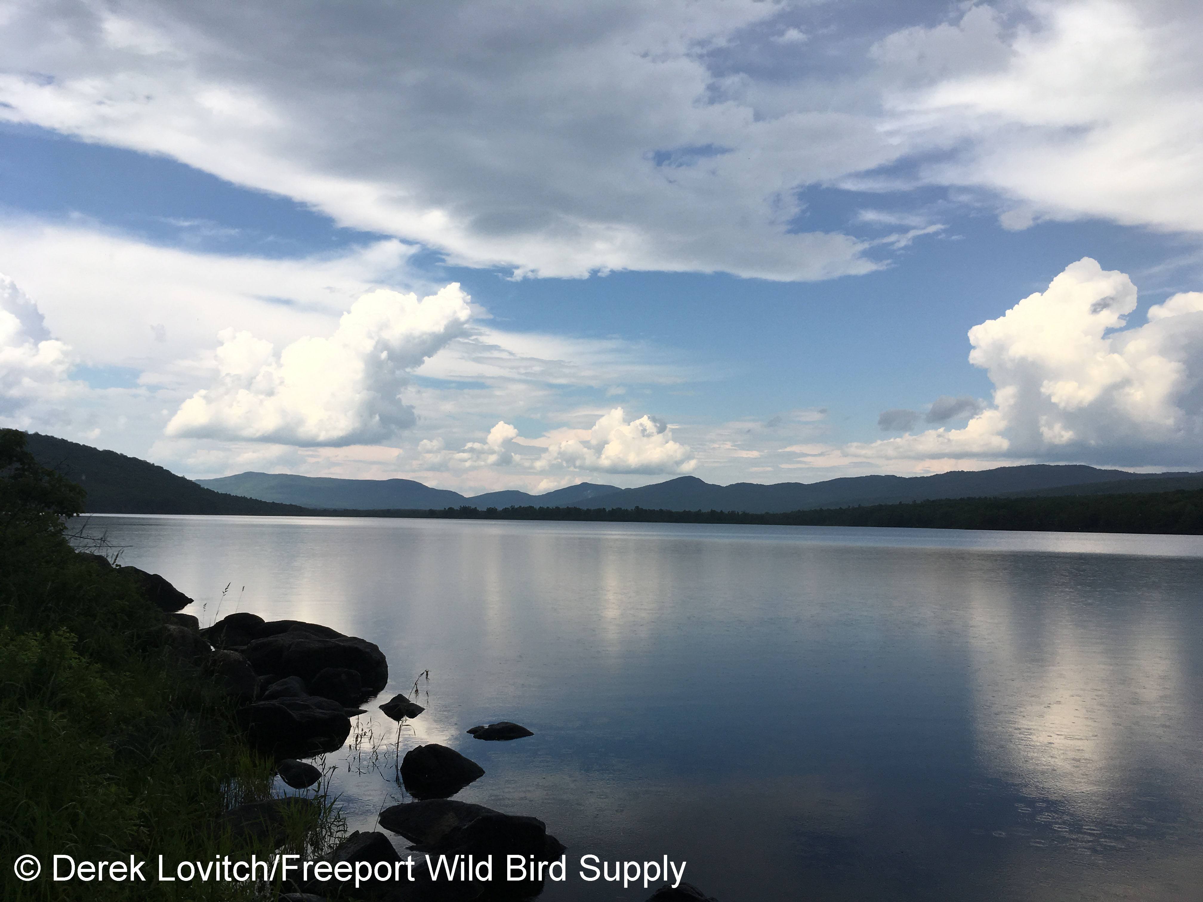 4. Gilman_Pond
