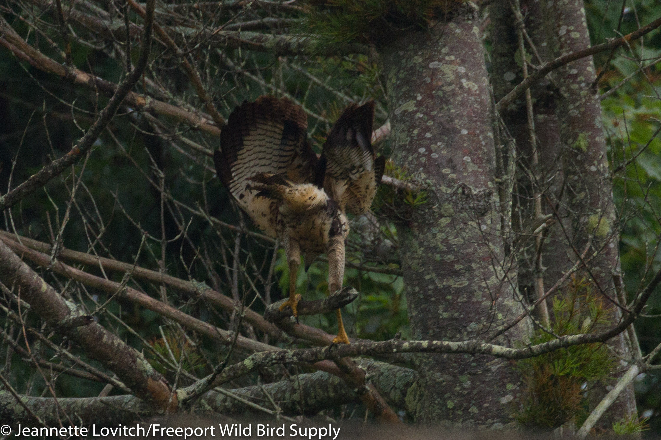 IMG_1520-edited-edited