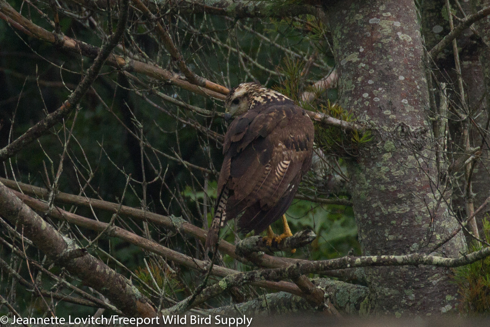 IMG_1583-edited-edited