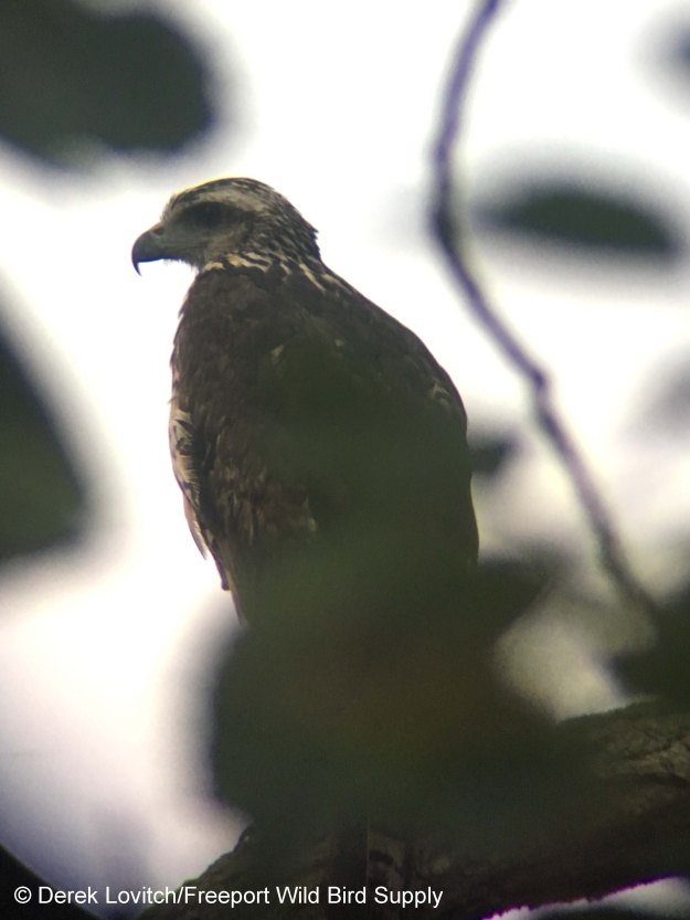 IMG_2287_best,kinda_edited-1