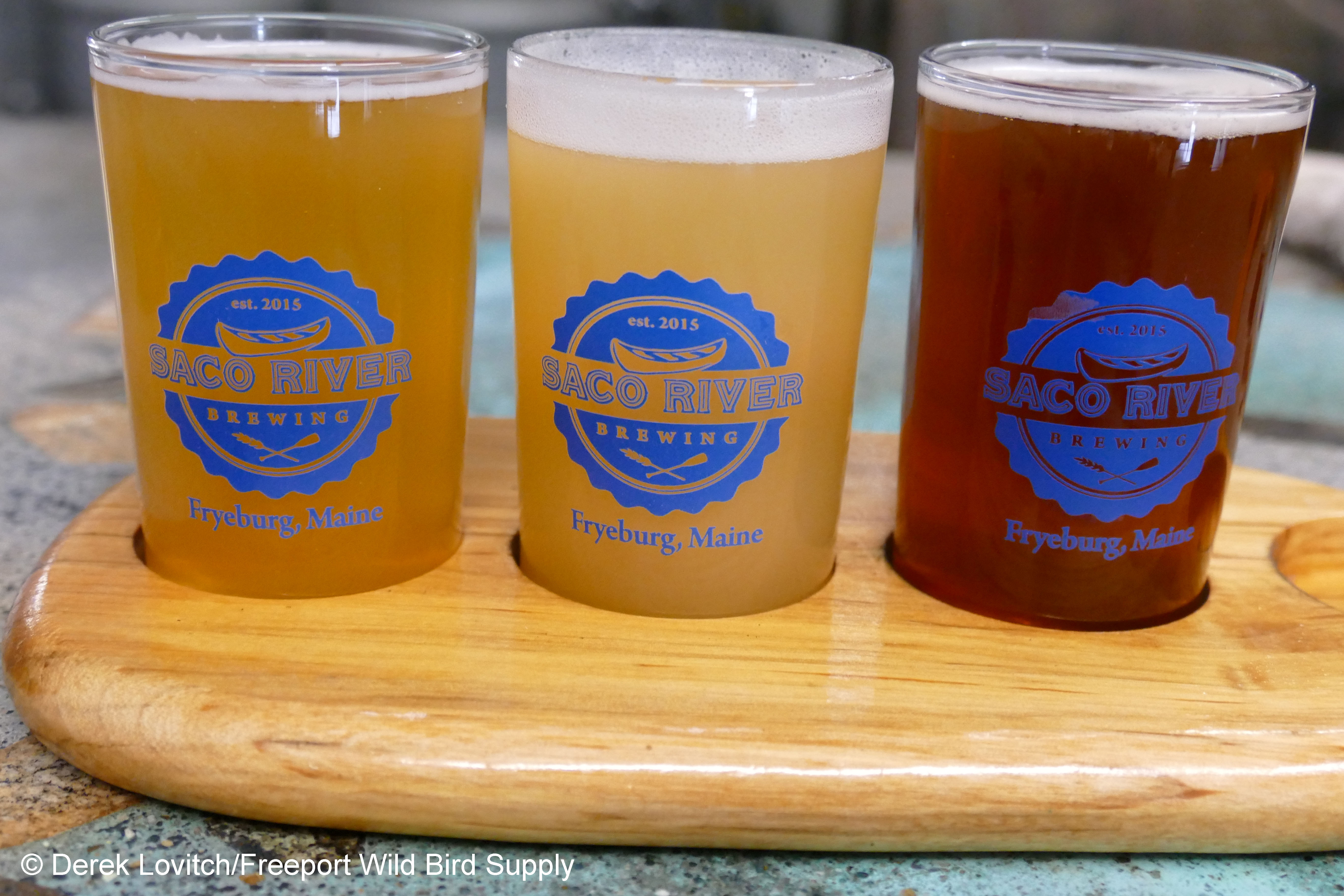 L1120332_Saco_River2_edited-1