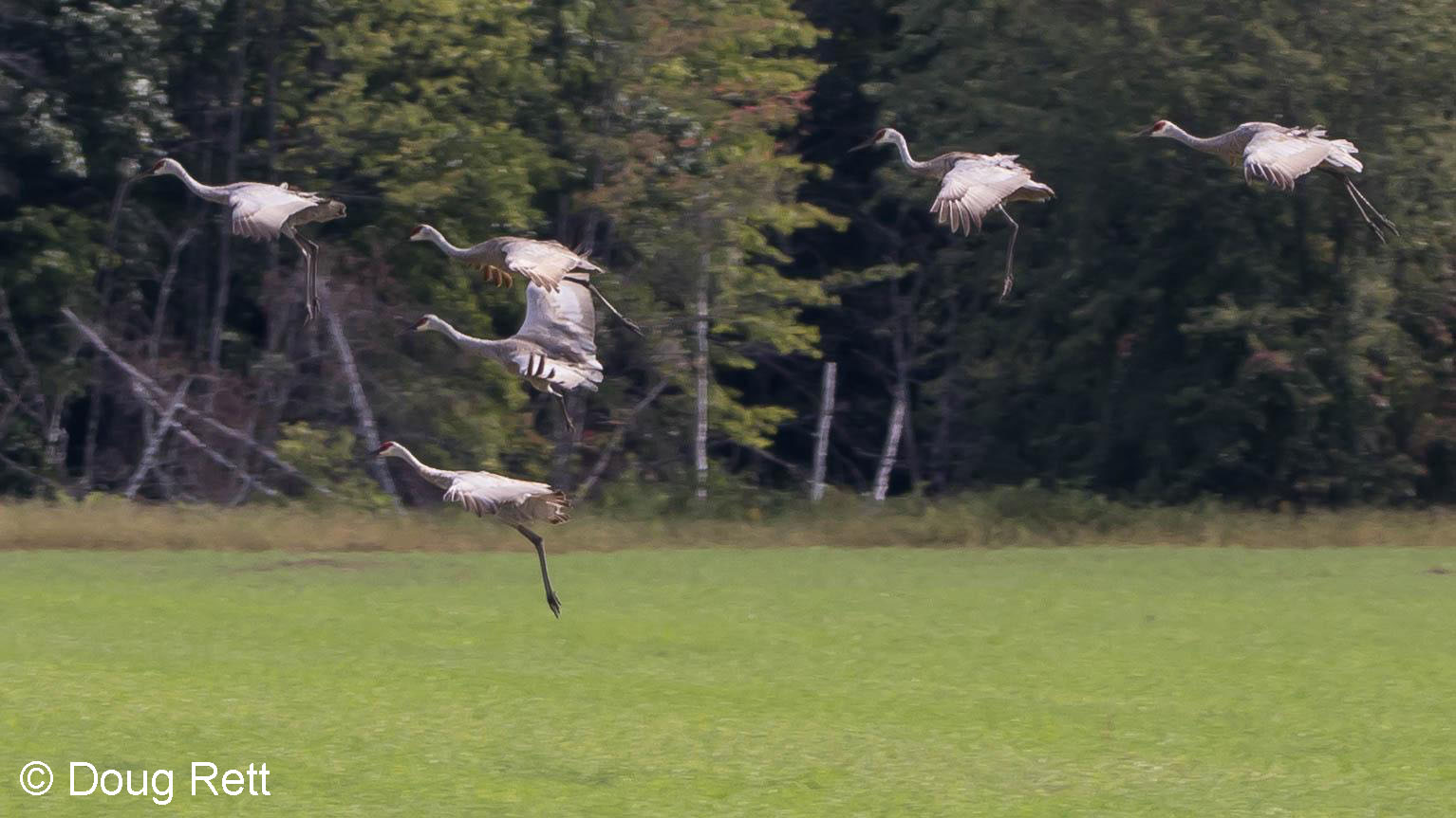 SACR1,DRett_edited-1