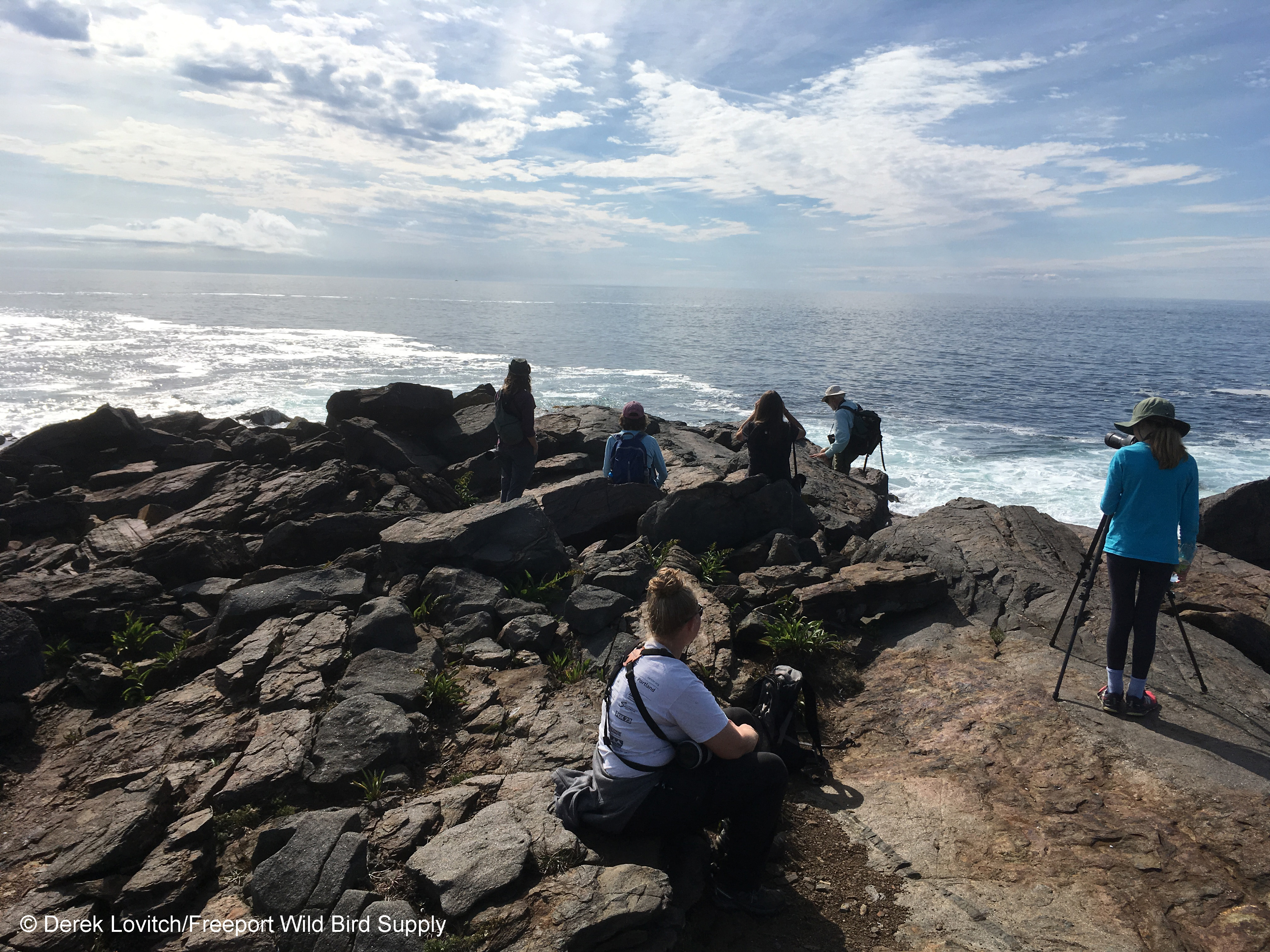 group_LobsterCove-edited-1