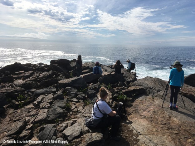 group_LobsterCove-edited-1