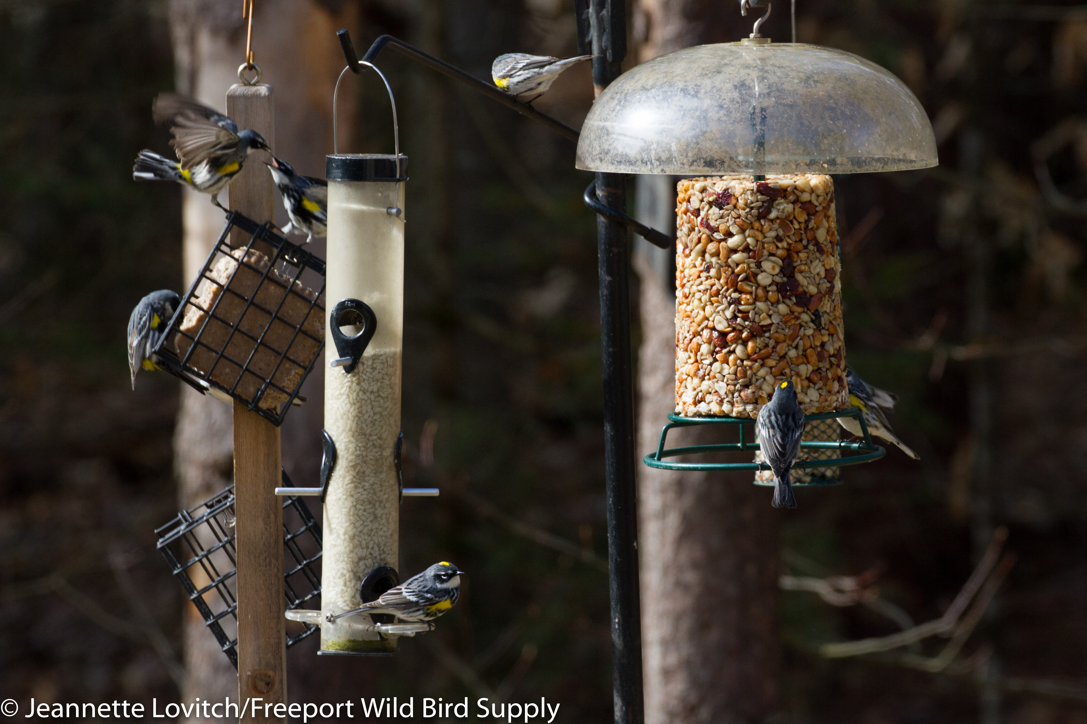 IMG_5747-edited 2.11.46 PM-edited