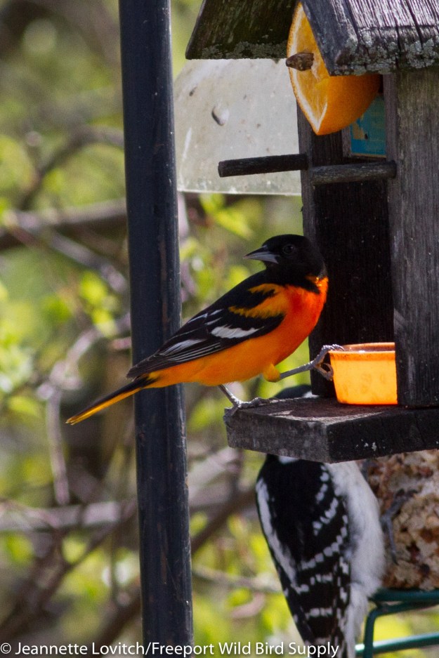 IMG_9042-edited-2-edited