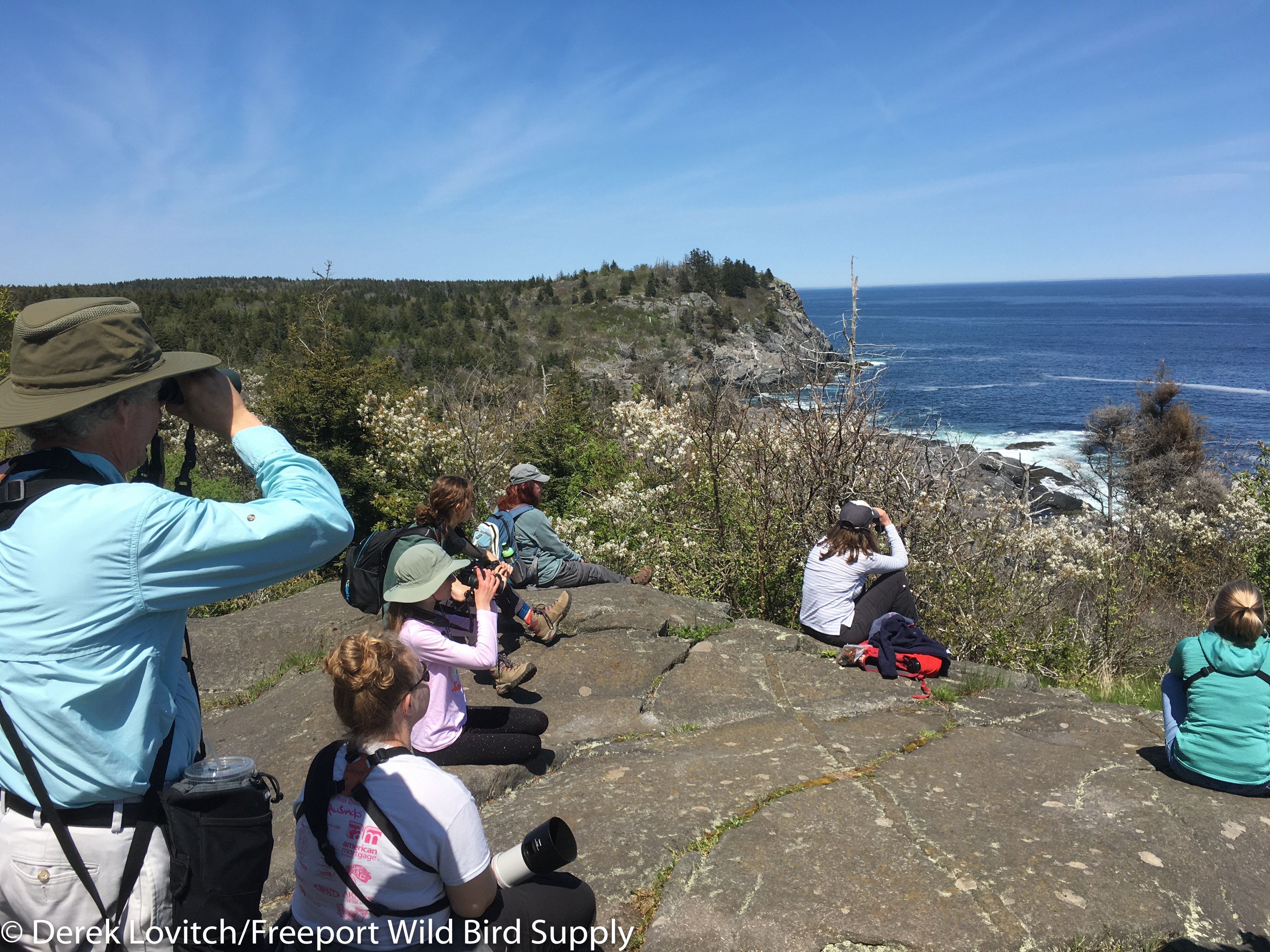 Group_BurntHead-edited