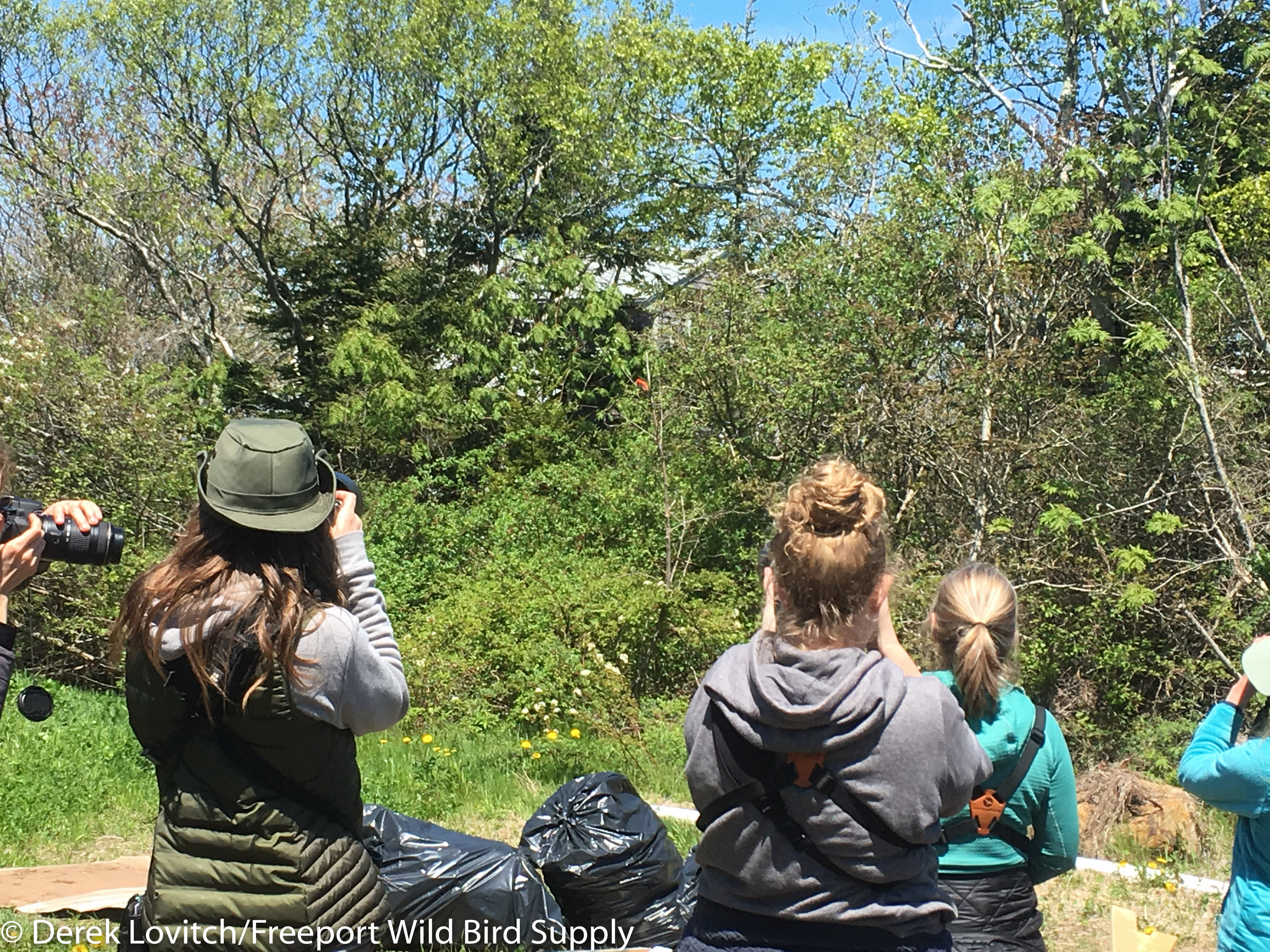 Group_Ice_Pond-edited