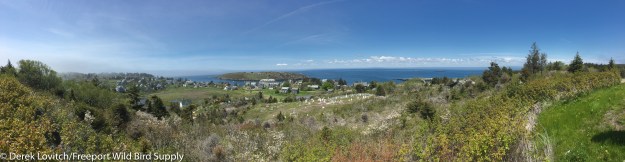 LighthouseHill-edited