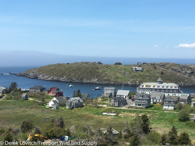 LighthouseHill2-edited