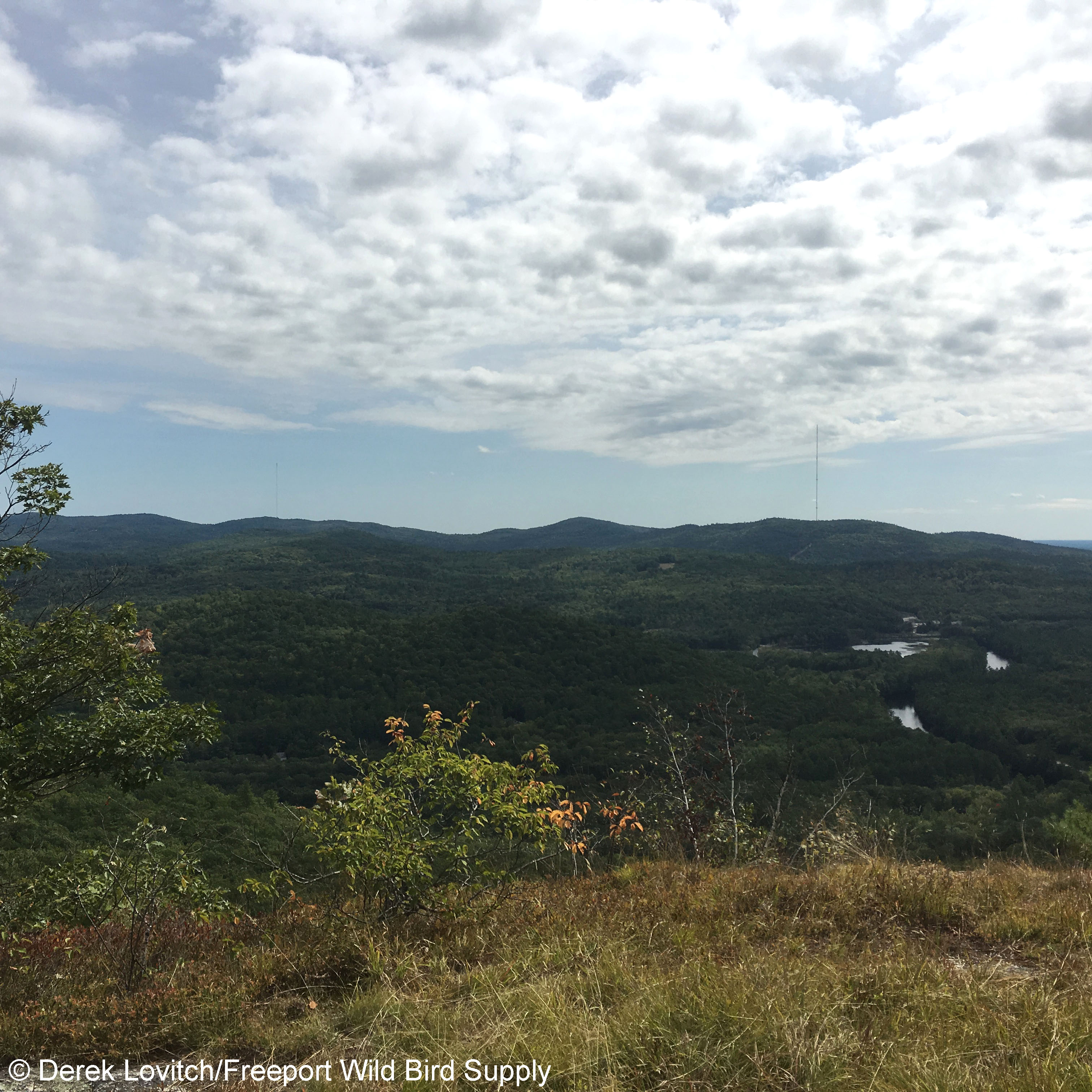 IMG_0510_easterly view