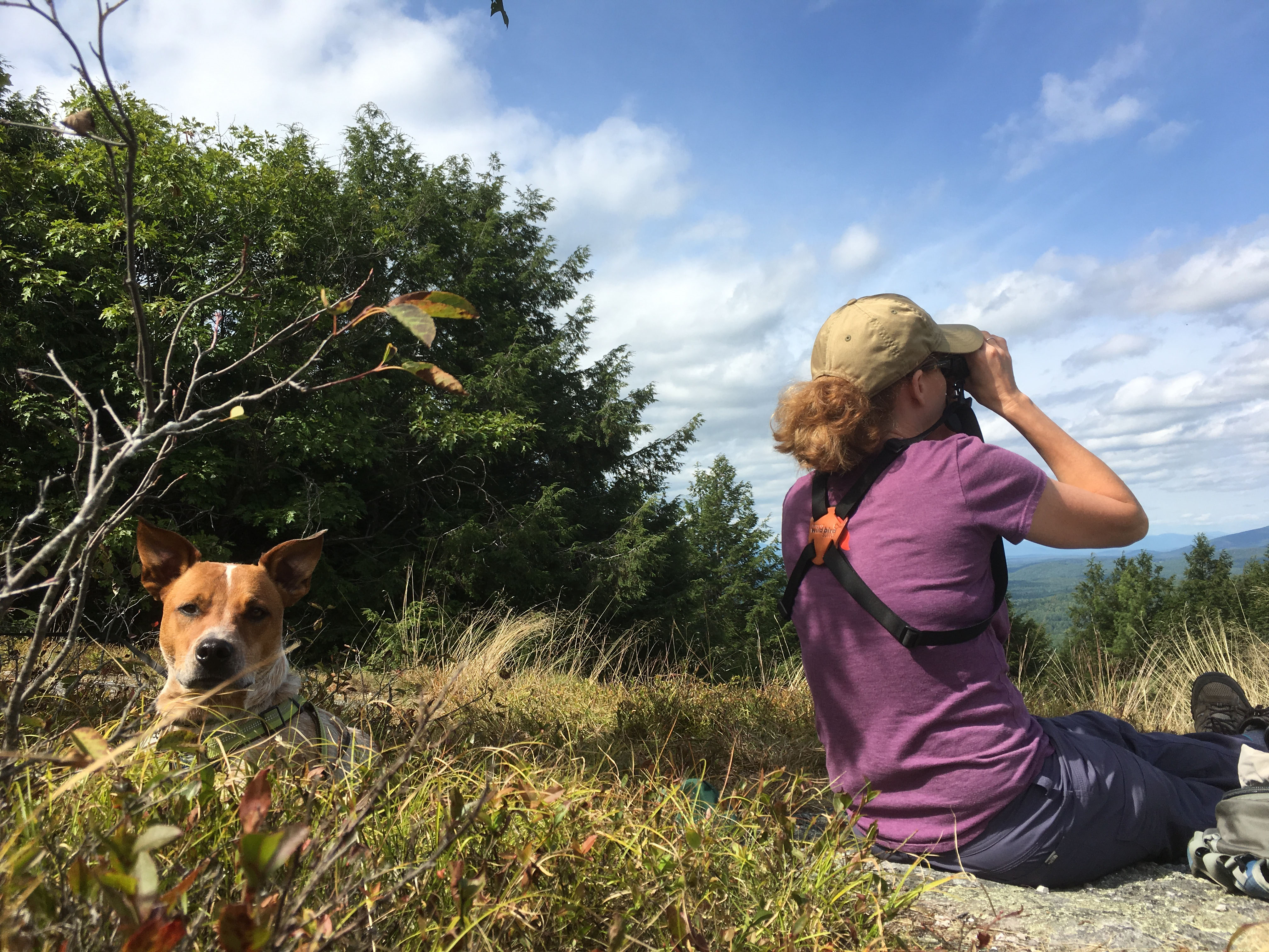 IMG_0522_Bonxie+J_hawkwatching