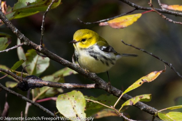 IMG_7635-edited-edited