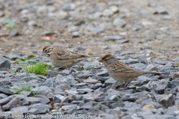 IMG_7793-edited-edited