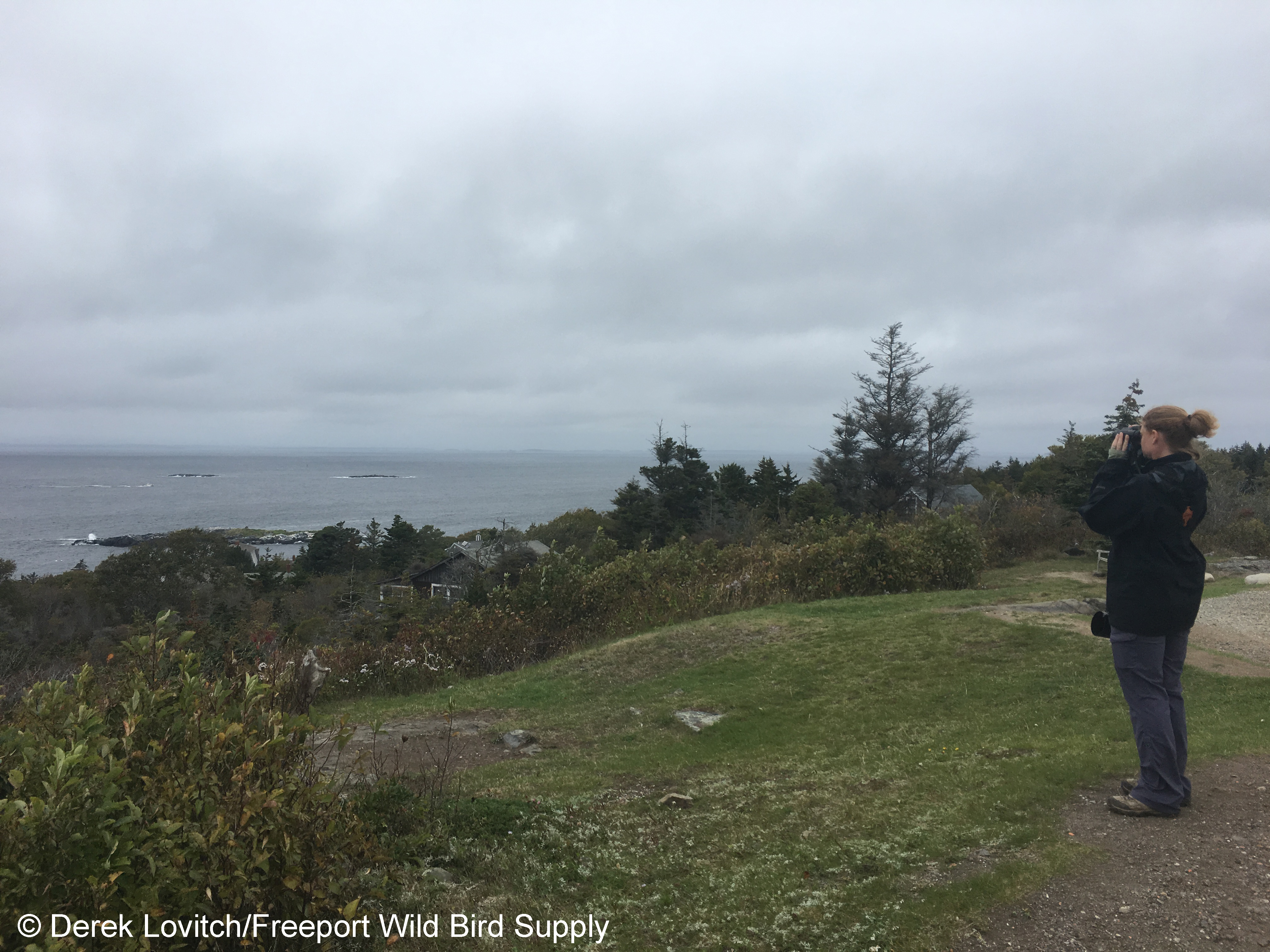 scanning_from_lighthouse