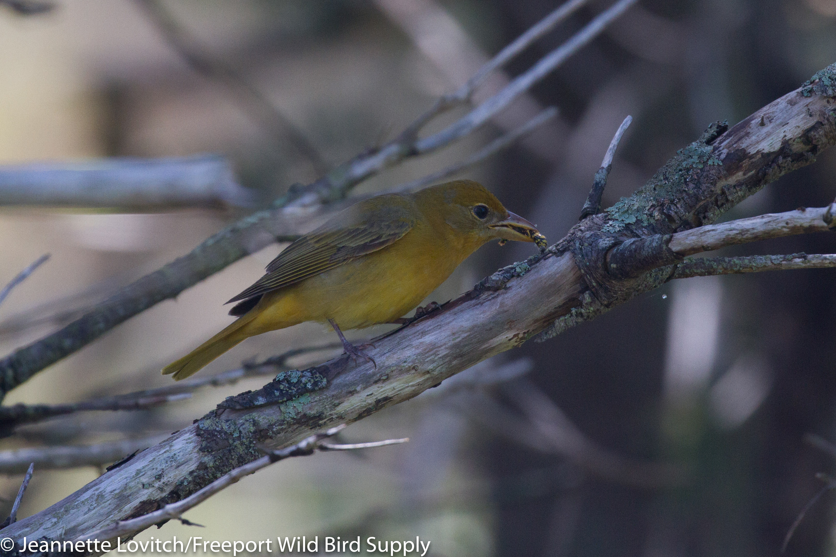 IMG_9862-edited-edited