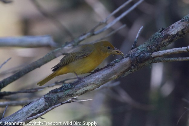 IMG_9862-edited-edited